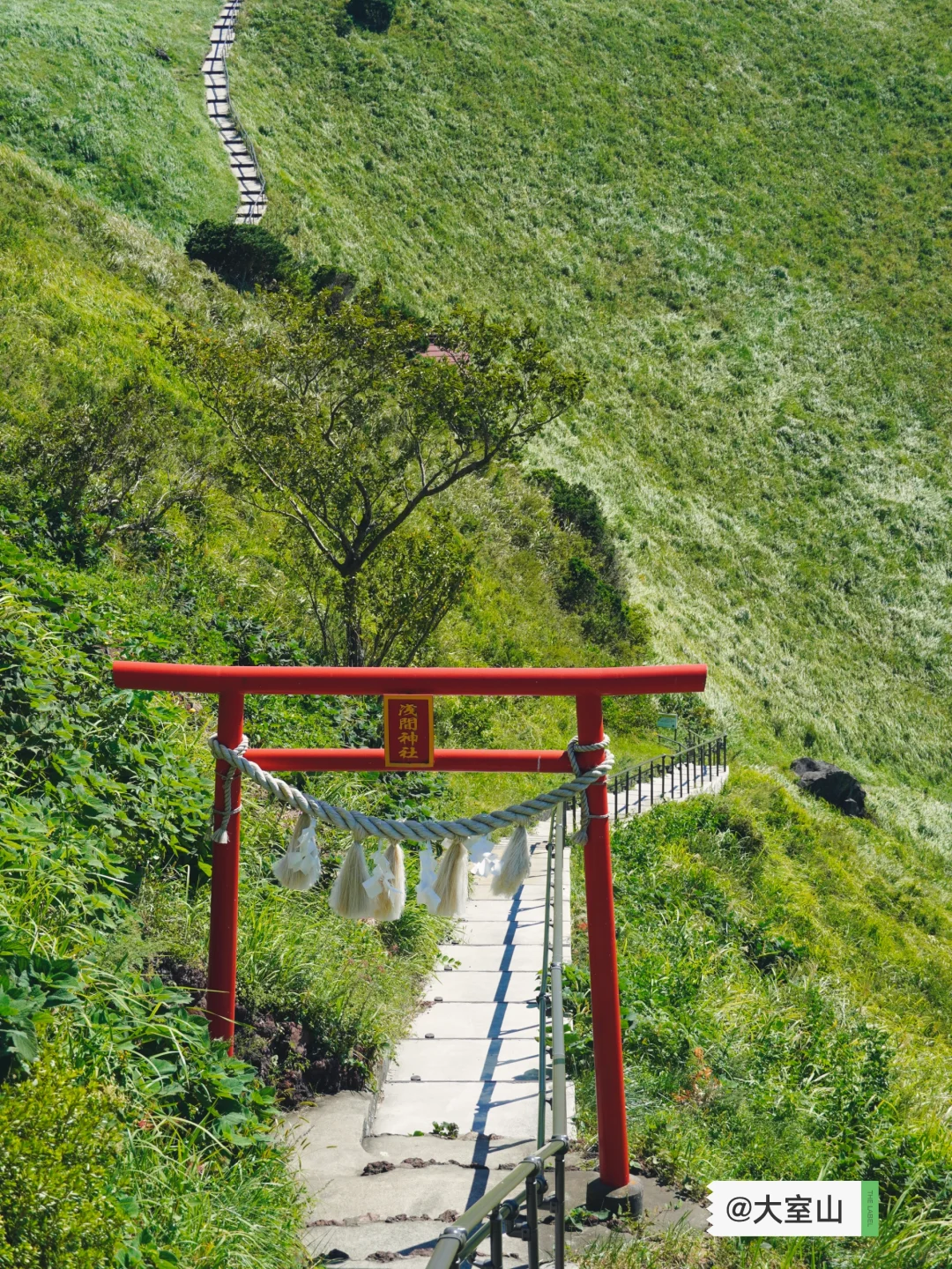 "Tokyo → East/South Izu" Ultimate 2-Day Free & Easy Itinerary