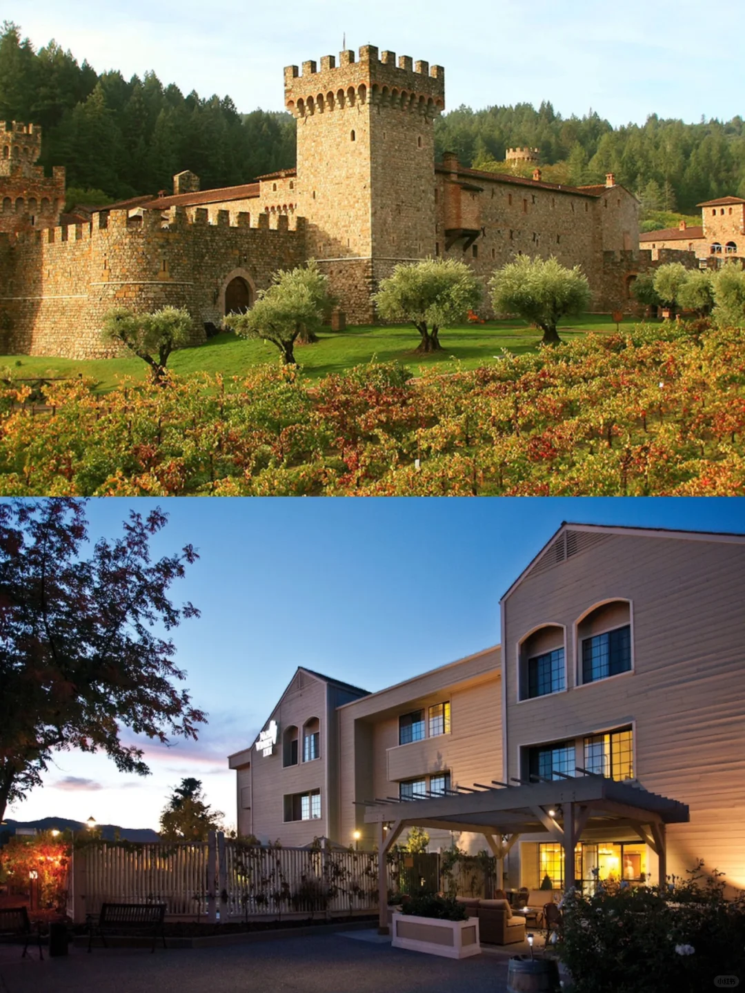 Where to Go for a Winter Getaway in the Bay Area⁉️ 10 Hidden Gem Wineries to Bookmark 🍷