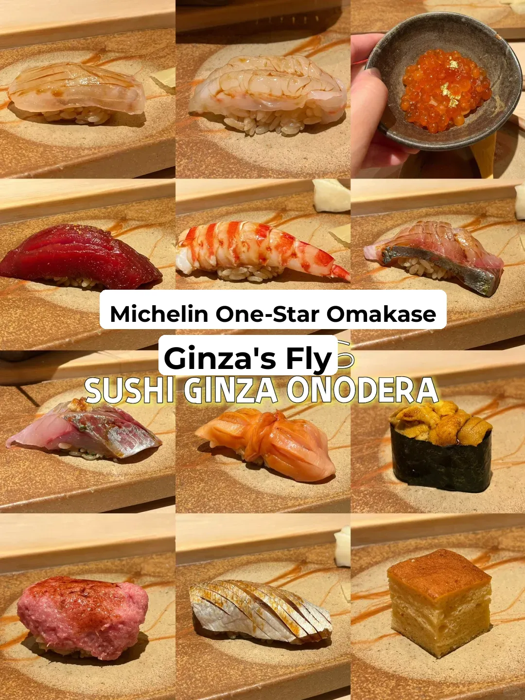 🇯🇵 Tokyo - SUSHI GINZA ONODERA 🍣