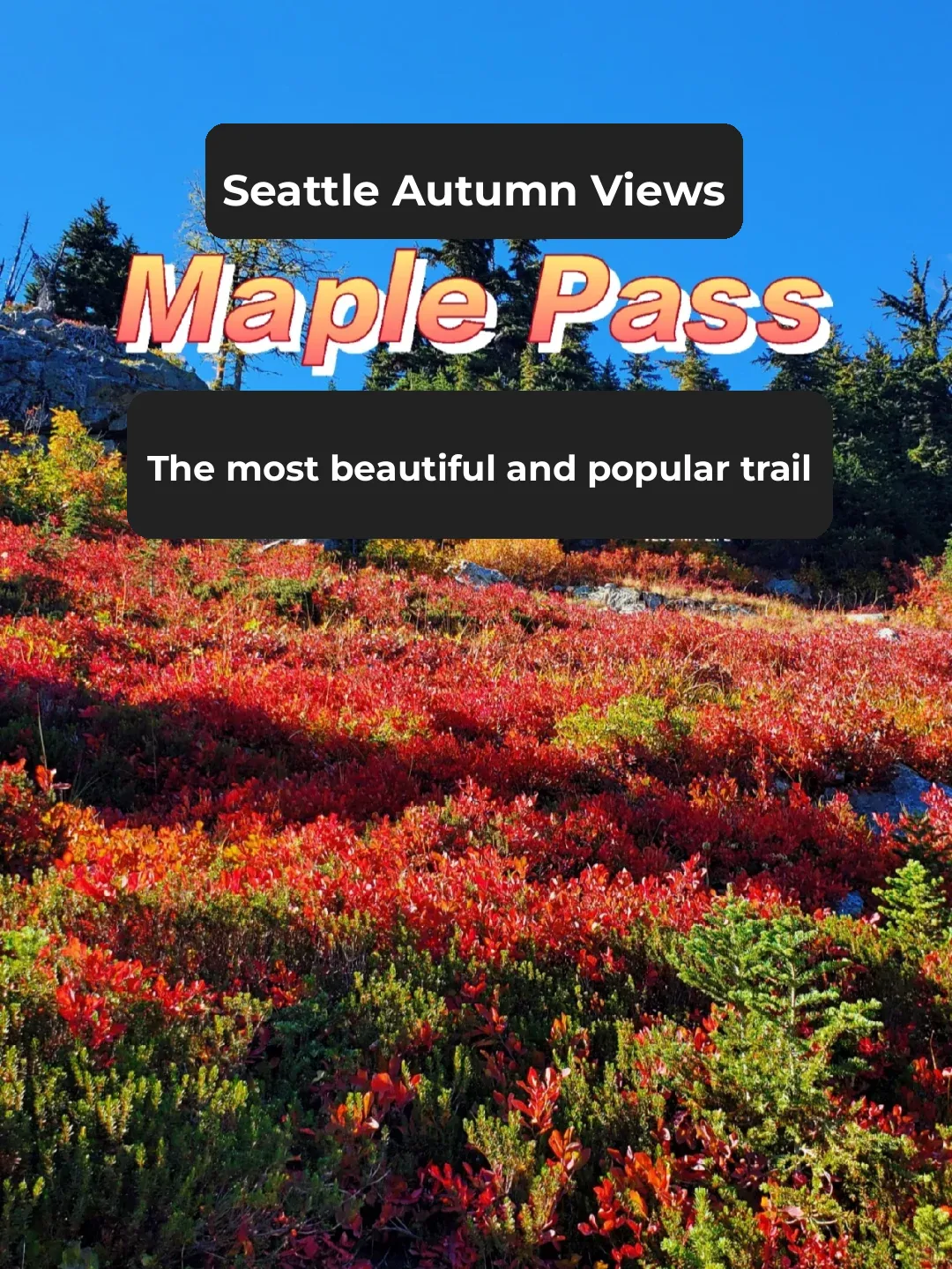 Seattle's Top Autumn Hike: Maple Pass Trail