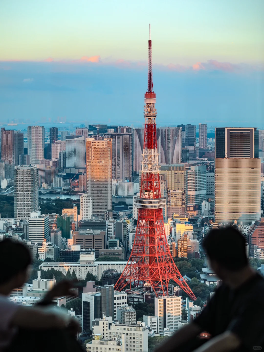 "Tokyo Trek: Logging 30K Steps Daily for These 18 Must-See Spots"