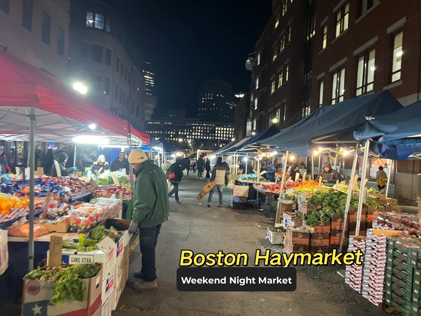 Boston by Bus: The Ultimate Guide to Hidden Gems with Stunning Ocean Views!