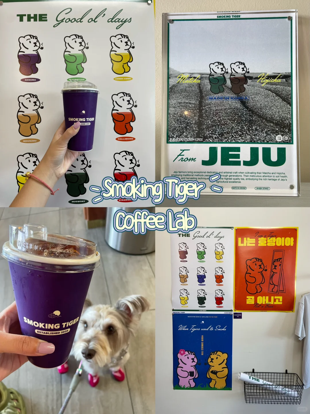 LA Coffee | Smoking Tiger Corn Latte ☕️ Blindly Recommended 🐛