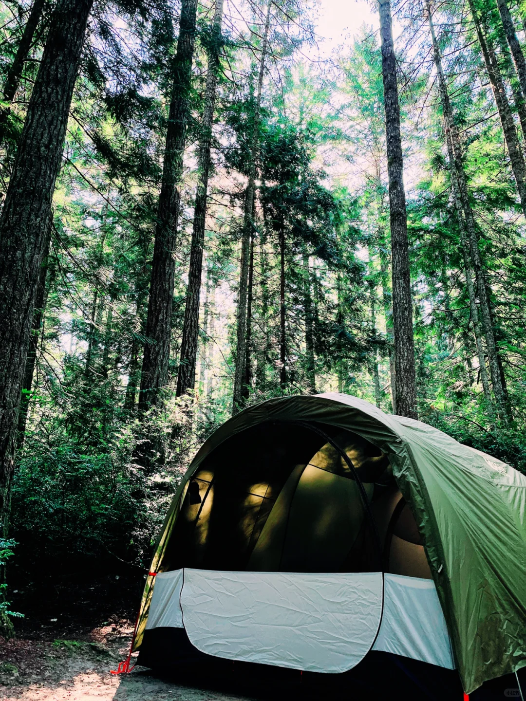 Top Camping Spots Near Seattle: Scenic Beach