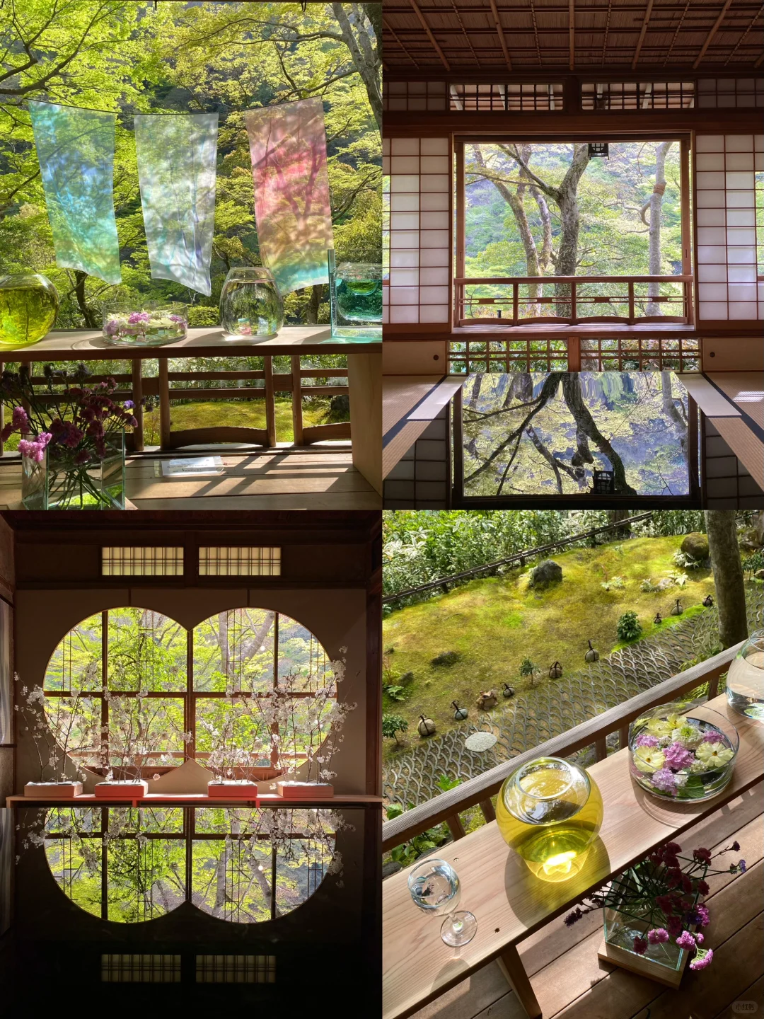 Kyoto | Hidden Gem Japanese Gardens 🏡 📸 Absolutely Stunning