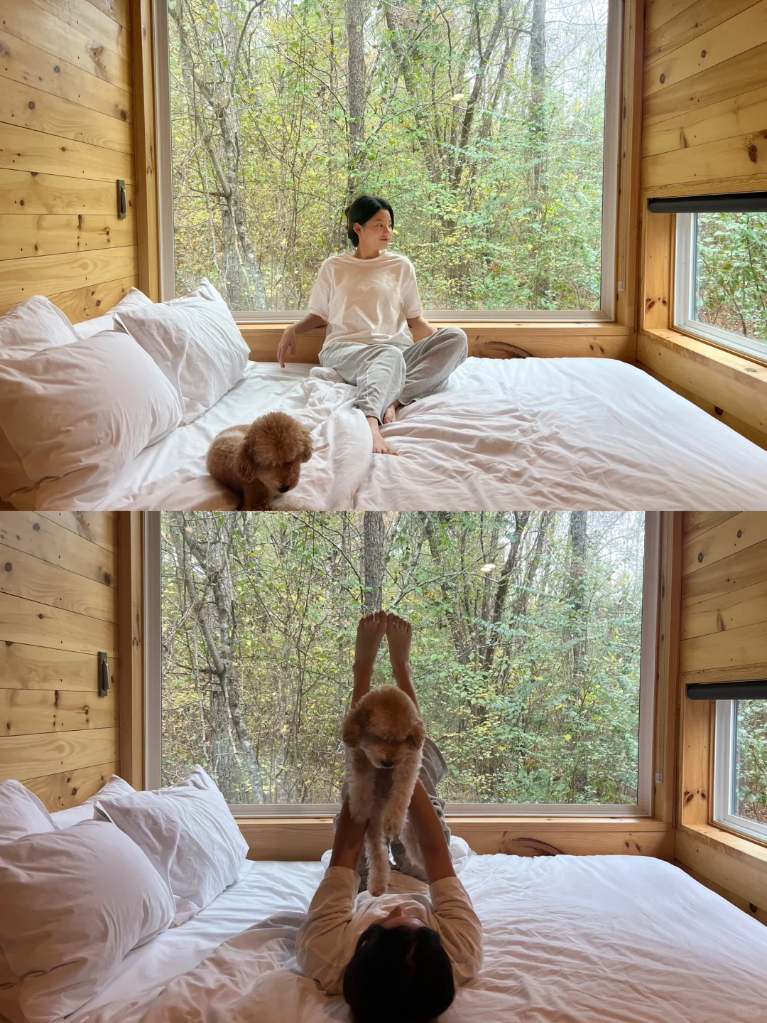 Alabama Getaway Cabin