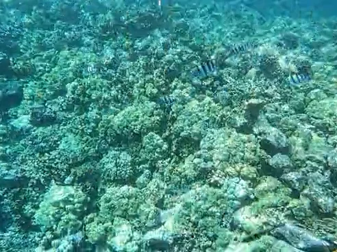 Big Island, Hawaii: Surfing the Waves for Thanksgiving Week