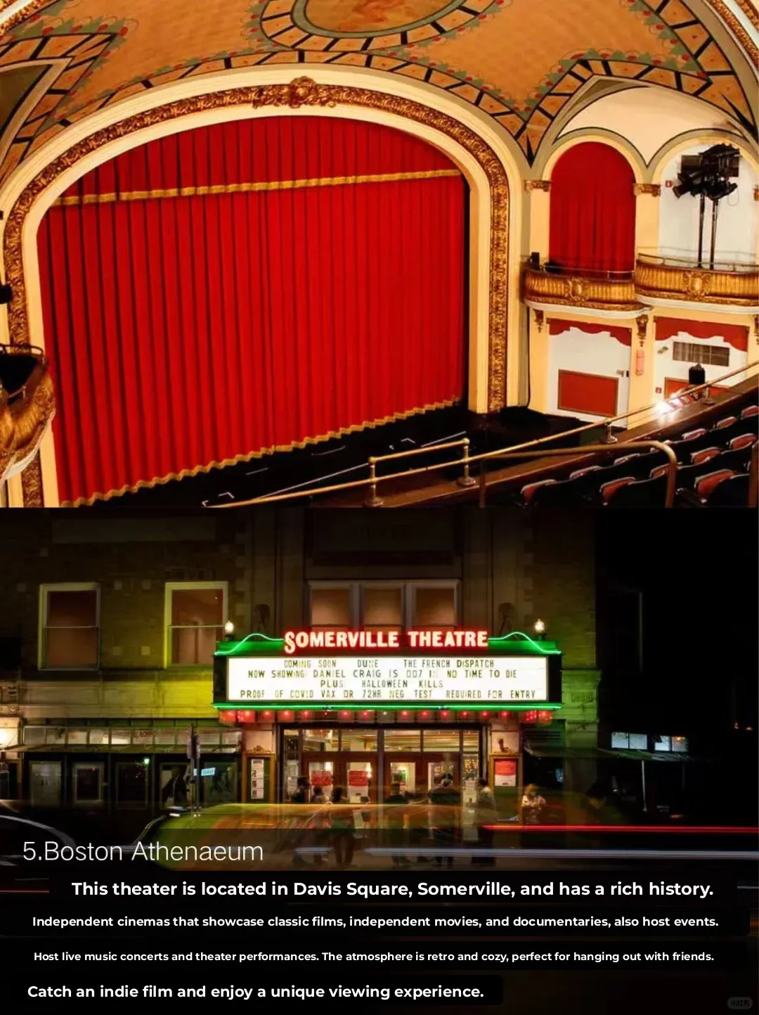 Best Spots in Boston for a Weekend Getaway with Your Dog (or a Friend)