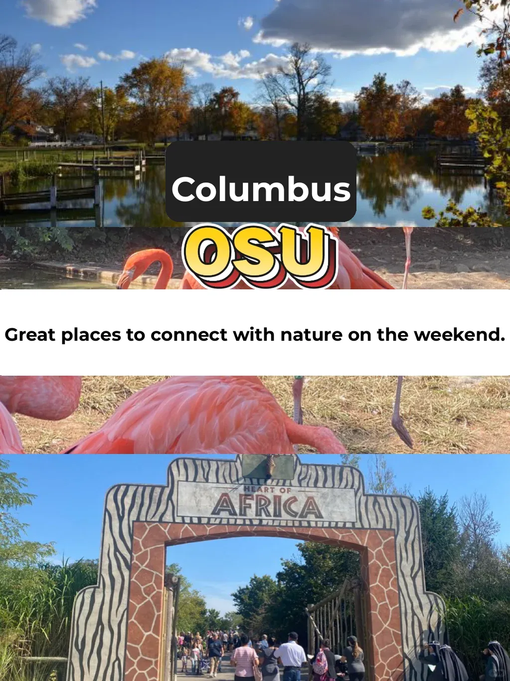 OSU | Been stuck on deadlines for too long~ Time to reconnect with nature and recharge!