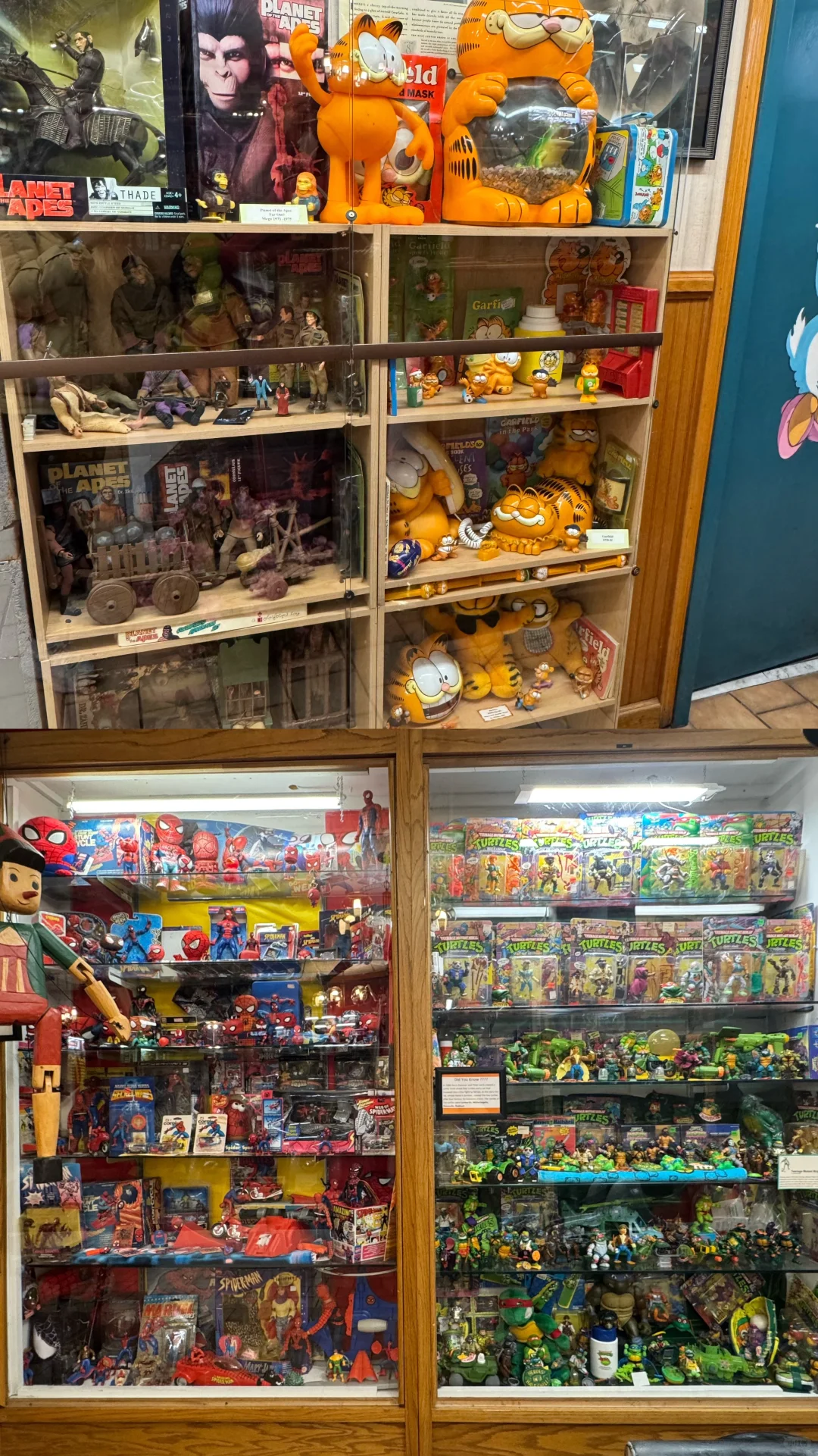 A Day Trip to Branson: The Hidden Gem of the Midwest