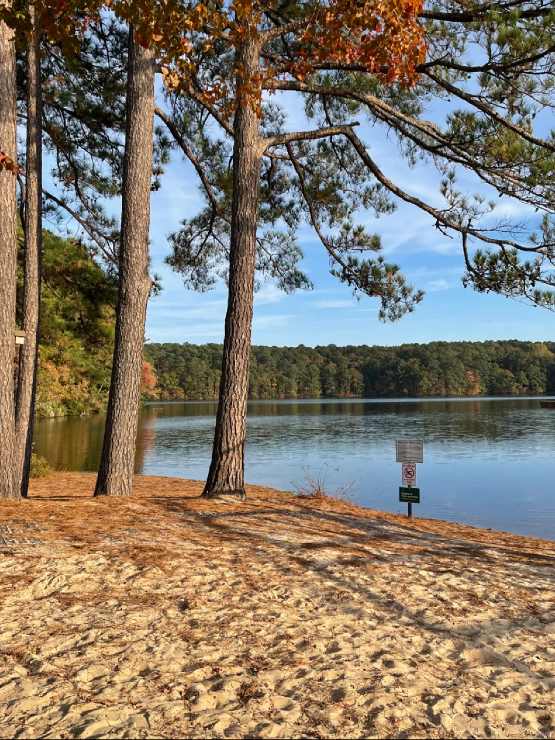 Daily Life of an NCSU PhD Student