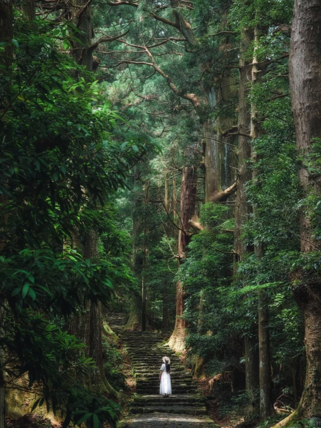 I thought Osaka was already a blast, but then I went to Wakayama