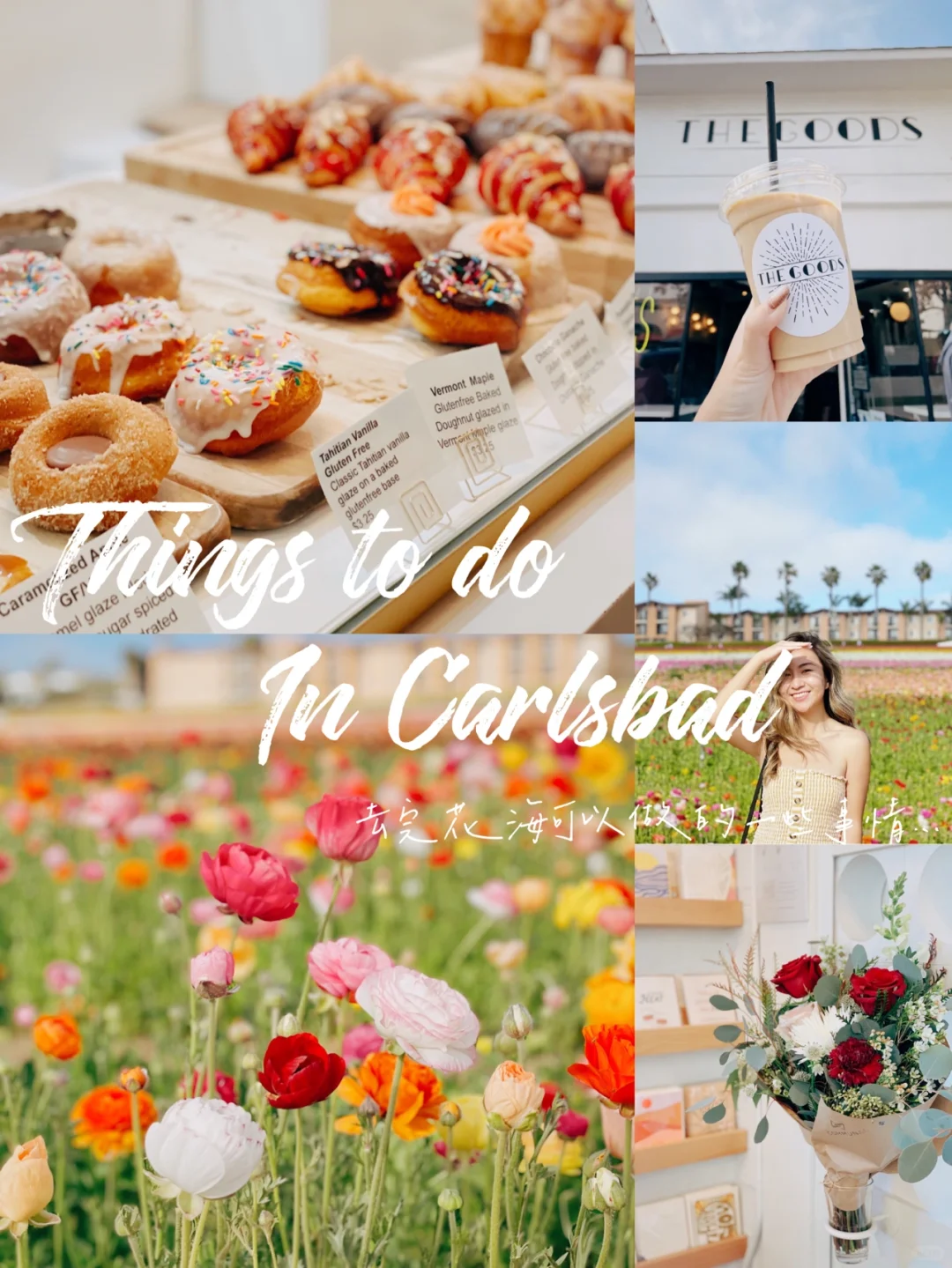 🌸San Diego | What Else to Do After Seeing the Flower Fields in Carlsbad This Spring✨