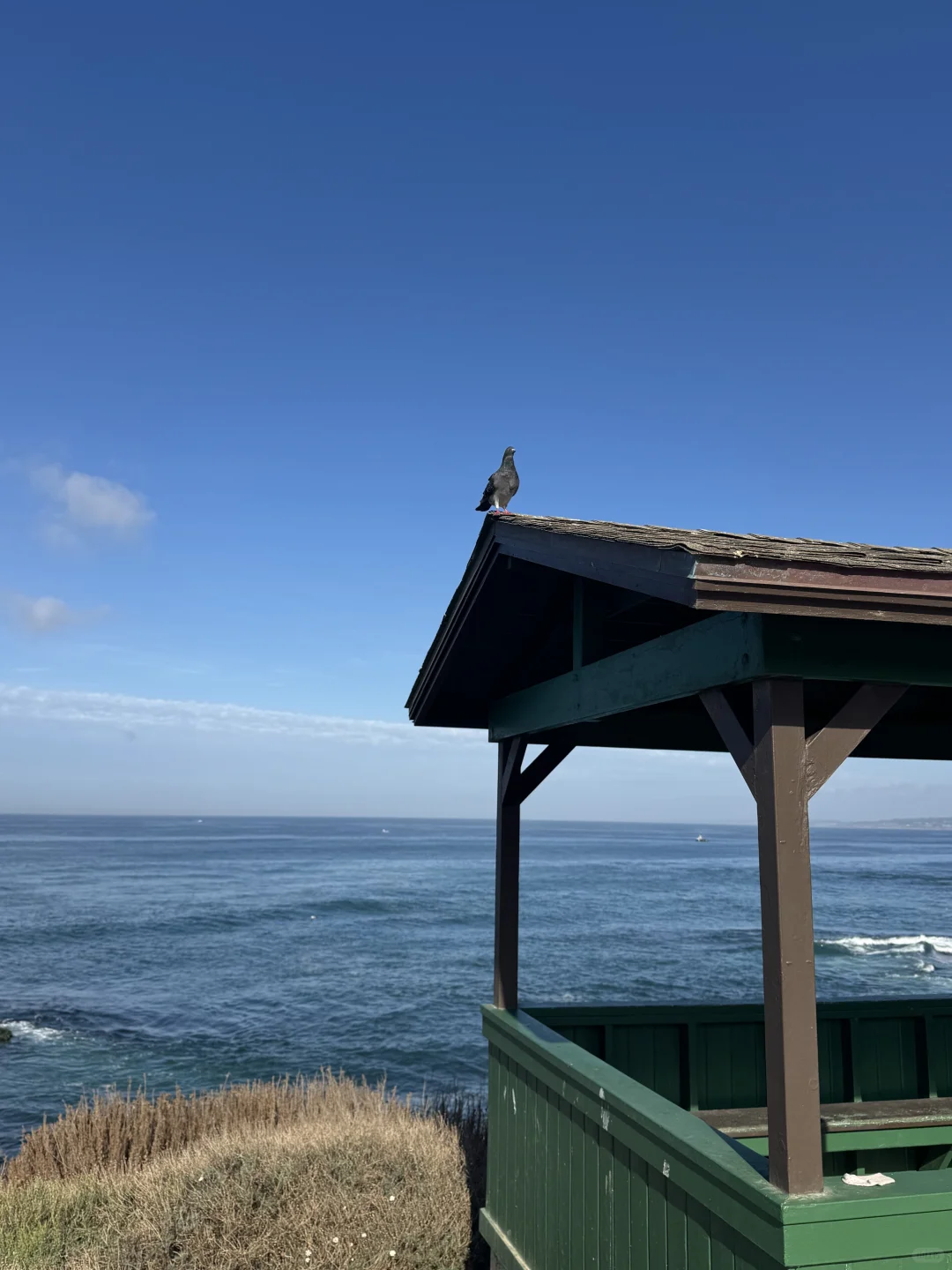 A Day Trip to San Diego During My Maternity Stay in Los Angeles