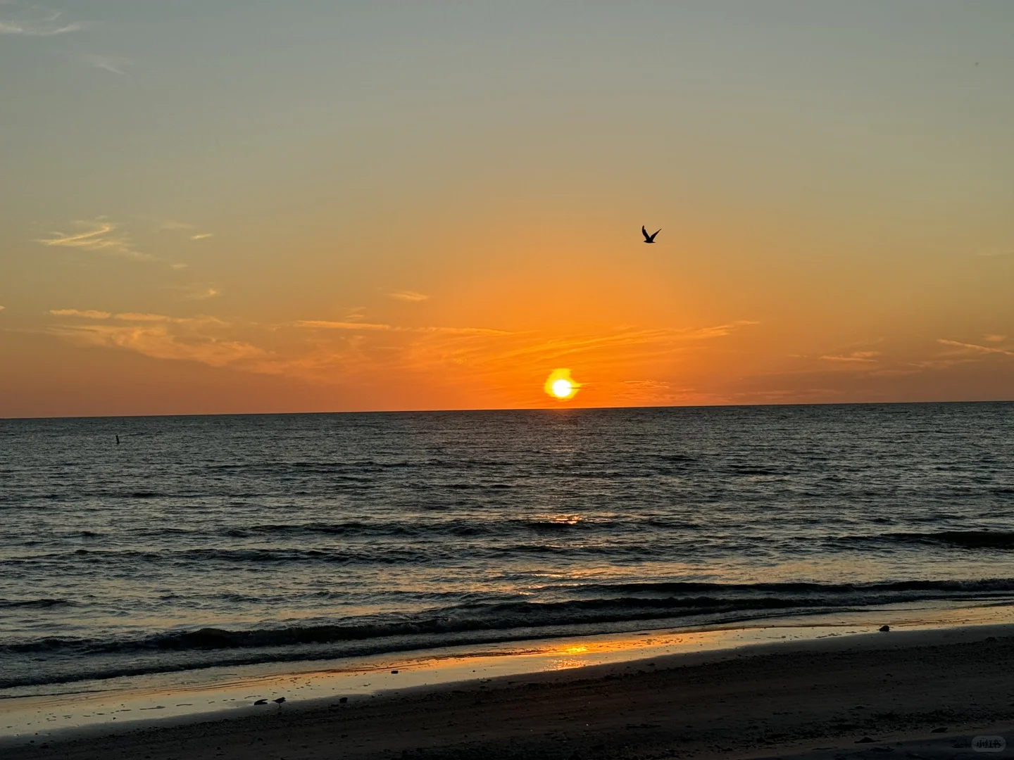 Pieces of Florida 🧩