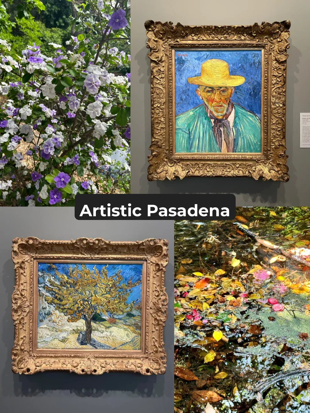 Artsy Pasadena: LA Half-Day Offbeat Itinerary (Part 3/Car-Friendly Edition)