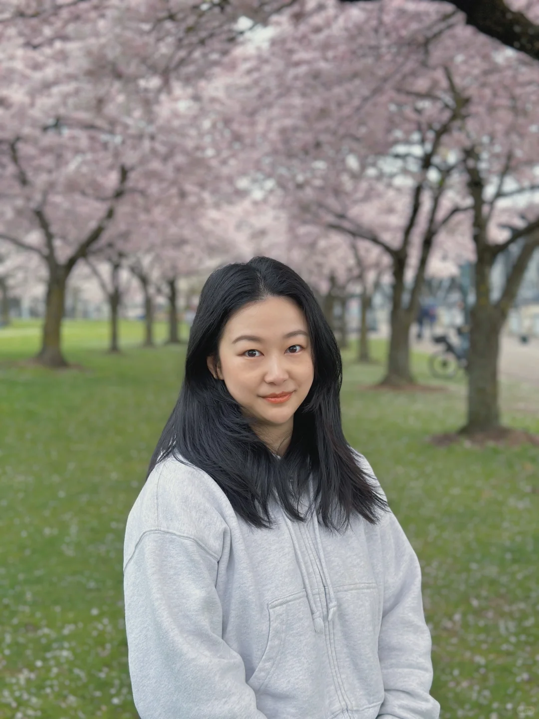 "Spring is the Perfect Time for Cherry Blossom Viewing"