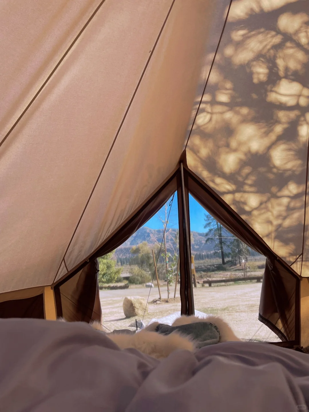 Stunning Camping Spots Near LA: Lake Hemet