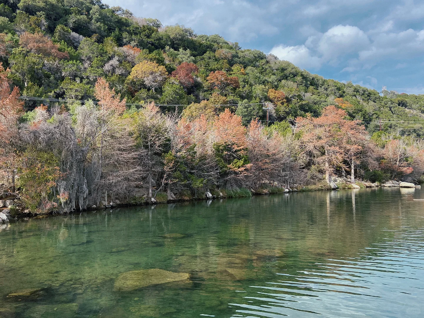 Hidden Gem in Austin: A Secluded Park Away from the Crowds