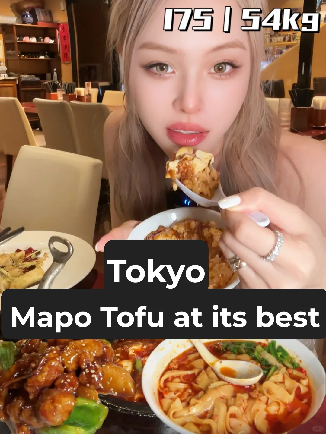 Tokyo | The Ultimate Mapo Tofu, Tantan Noodles, and OMG, So Flavorful!!