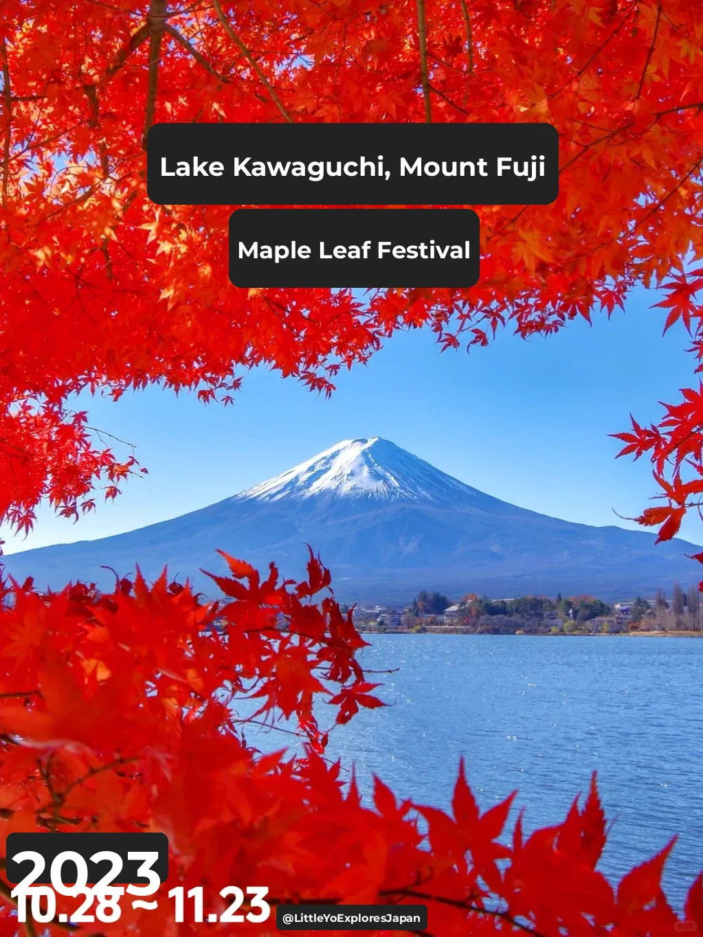 Mark Your Calendars ✅ The 2023 Kawaguchiko Momiji Matsuri in Japan is On!