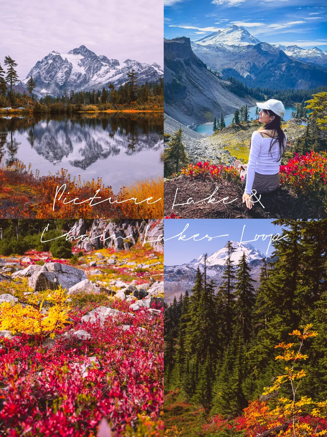 🍁 Seattle Autumn Hike | Mt. Baker Foliage is Blazing Red!
