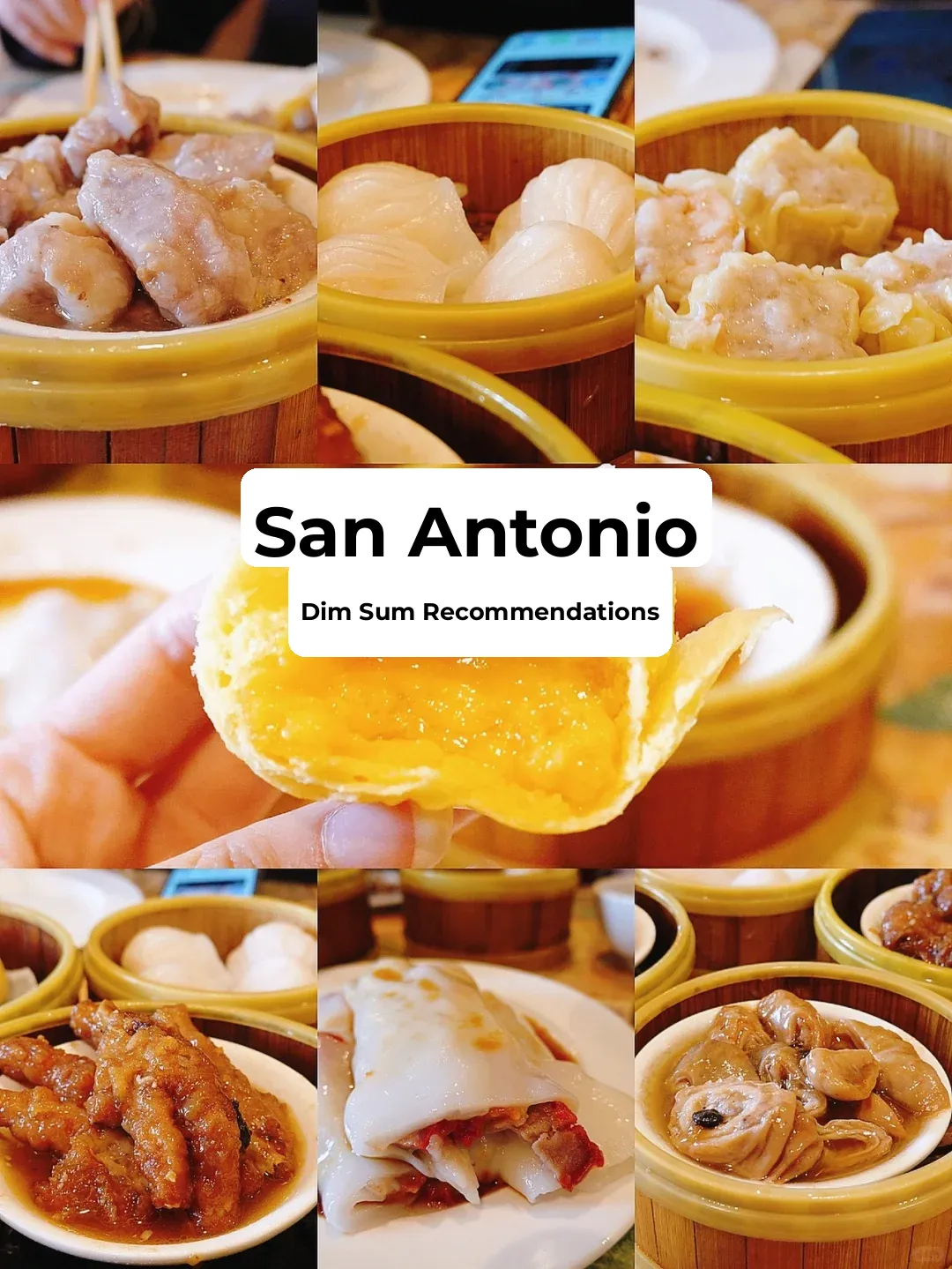 San Antonio Food Adventure | This Dim Sum Spot is Absolutely Amazing!