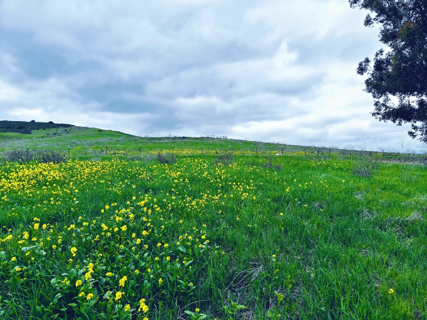 San Diego's Little Altay: Sweetwater Lake