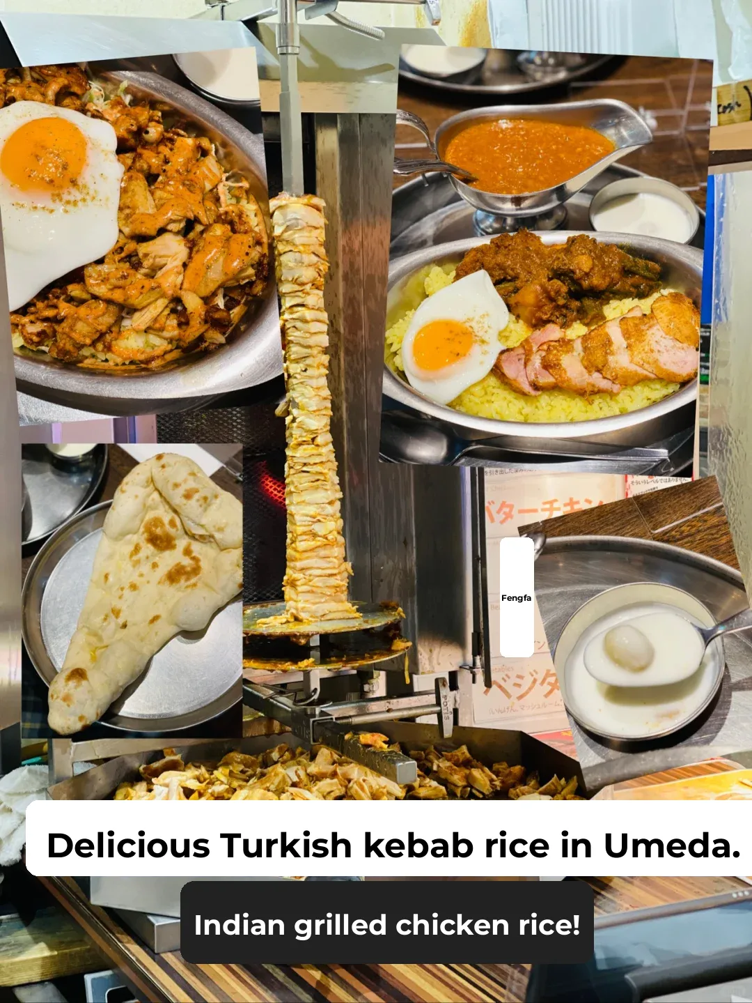 Ultimate Turkish Kebab Rice & Indian 🇮🇳 Chicken 🐔 Biryani!