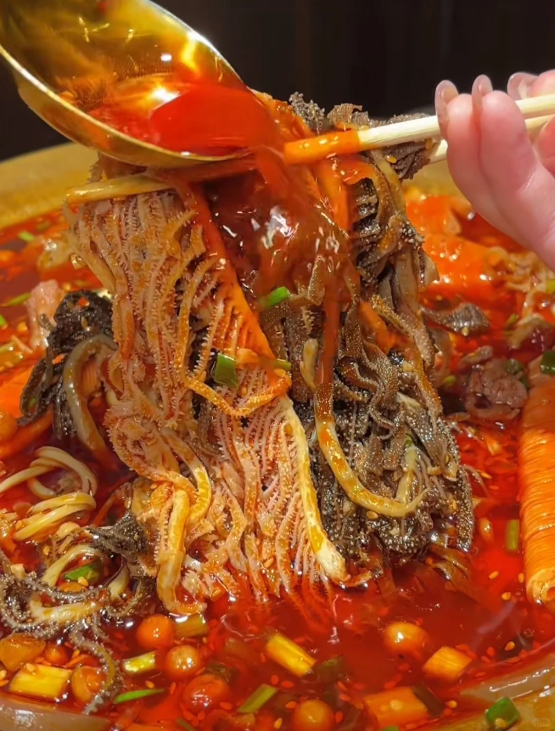 ‼️Dallas Sichuan Spicy Pot (Maocai)