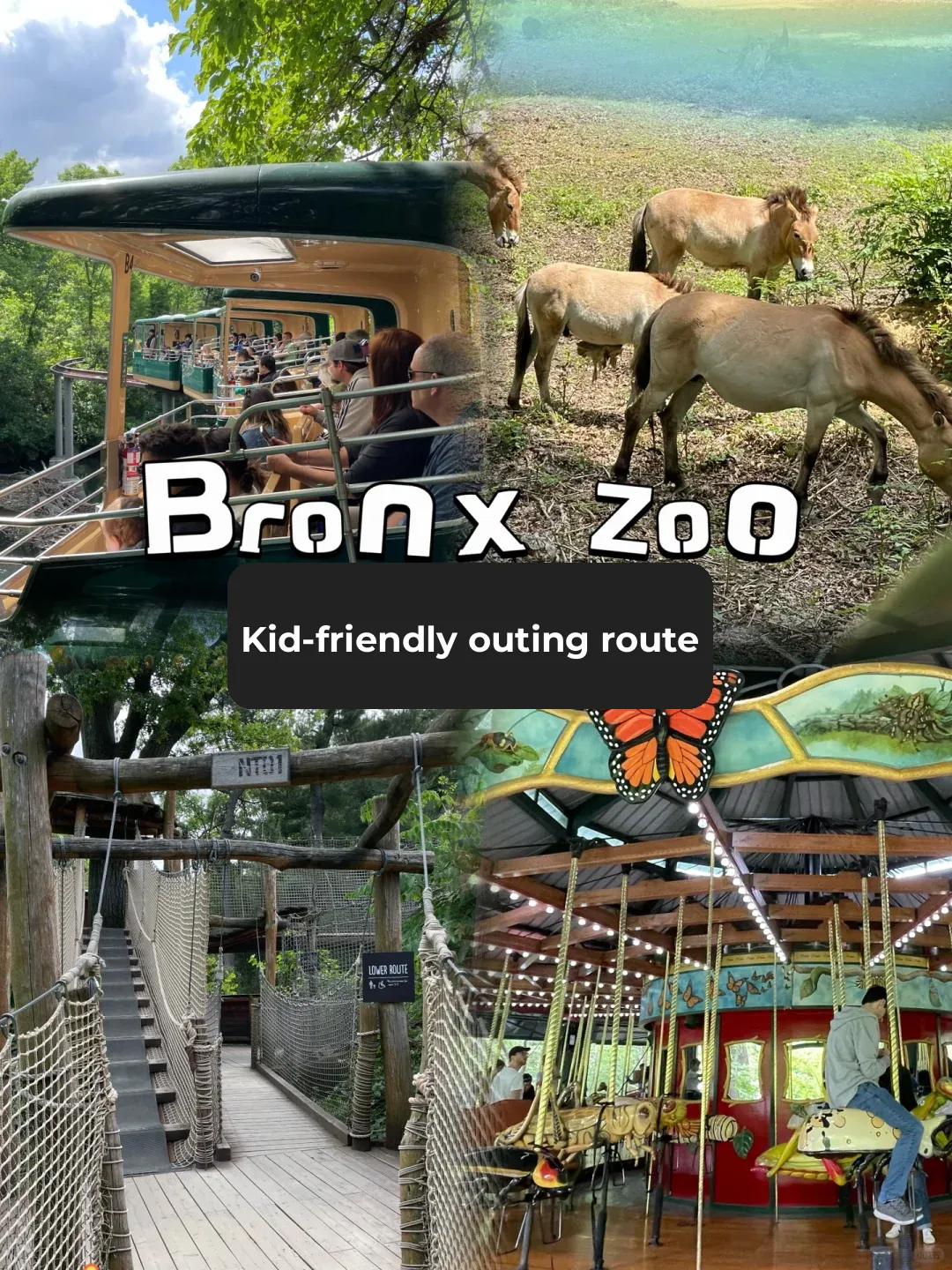 NYC Area | Family Fun | Bronx Zoo Half-Day Must-See Itinerary