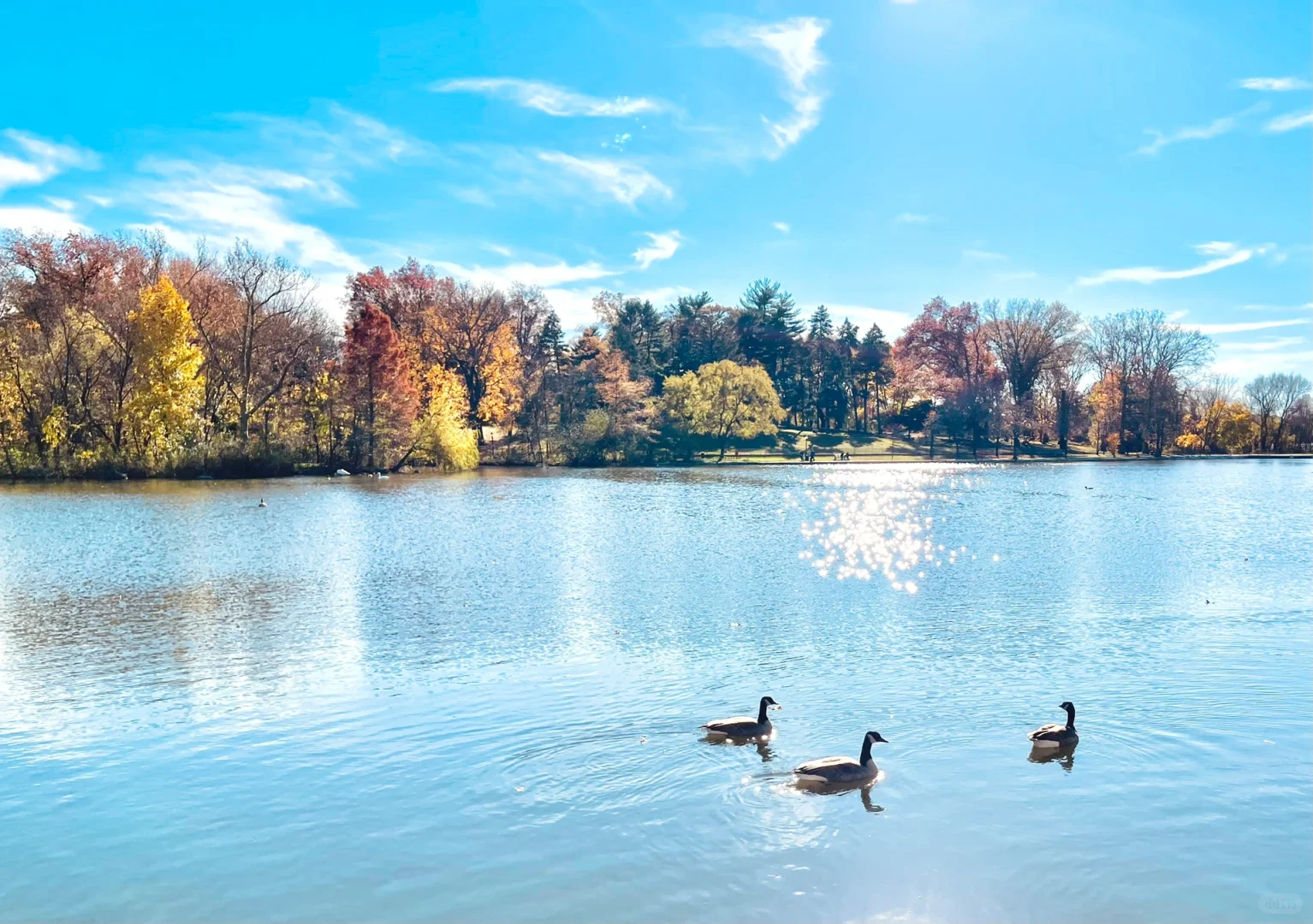 Hidden Gem in NYC: Kissena Park - Perfect for a Weekend Stroll