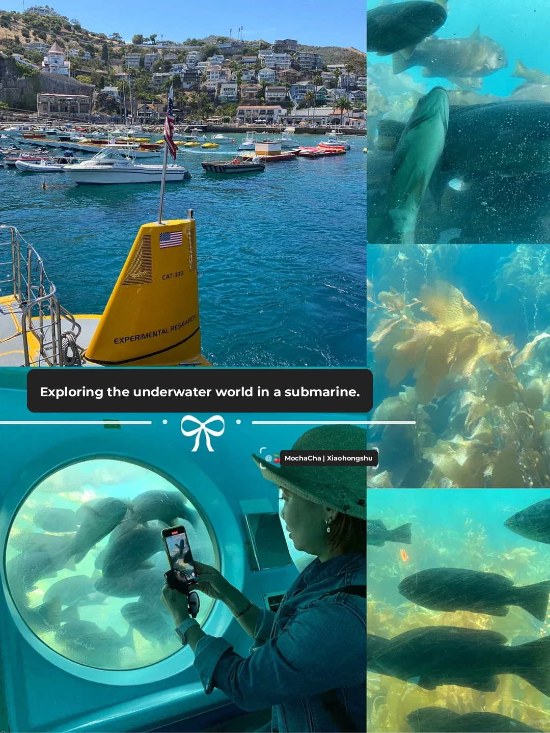 🐠 Catalina Island, California / Semi-Submersible Underwater Adventure 🐠