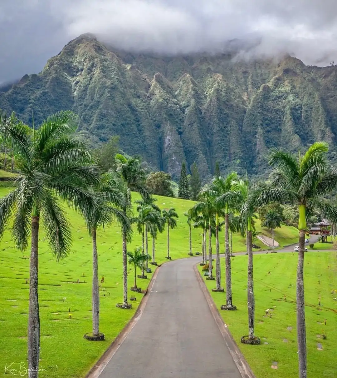 💚 Insta-Worthy Shots at Hawaii Botanical Garden! Plus a Complete Guide