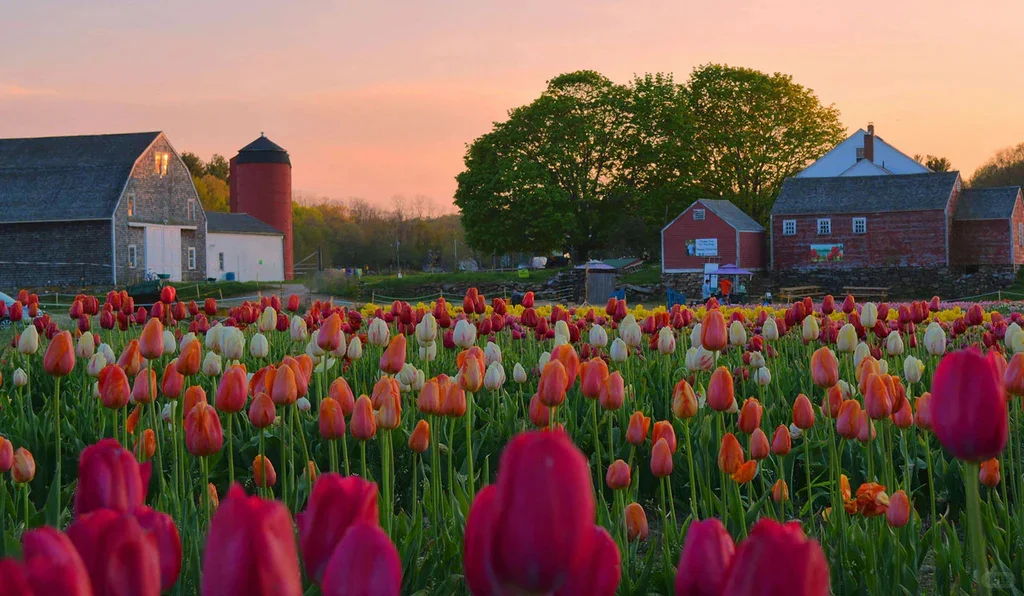 Must-Visit Activities in Boston for Spring & Summer (Part 1)!