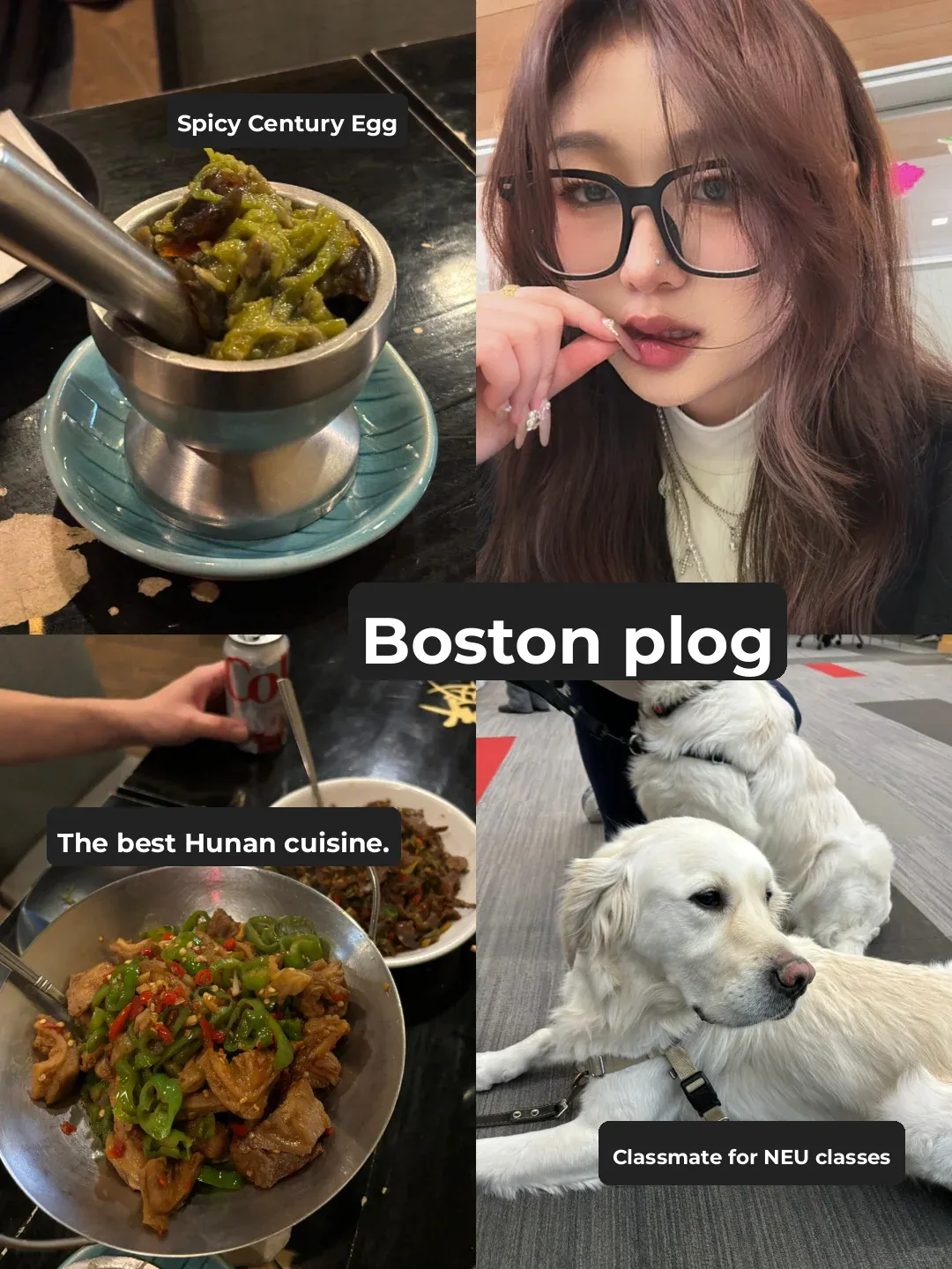 Boston Week 1: The Best Hunan Cuisine I've Ever Had