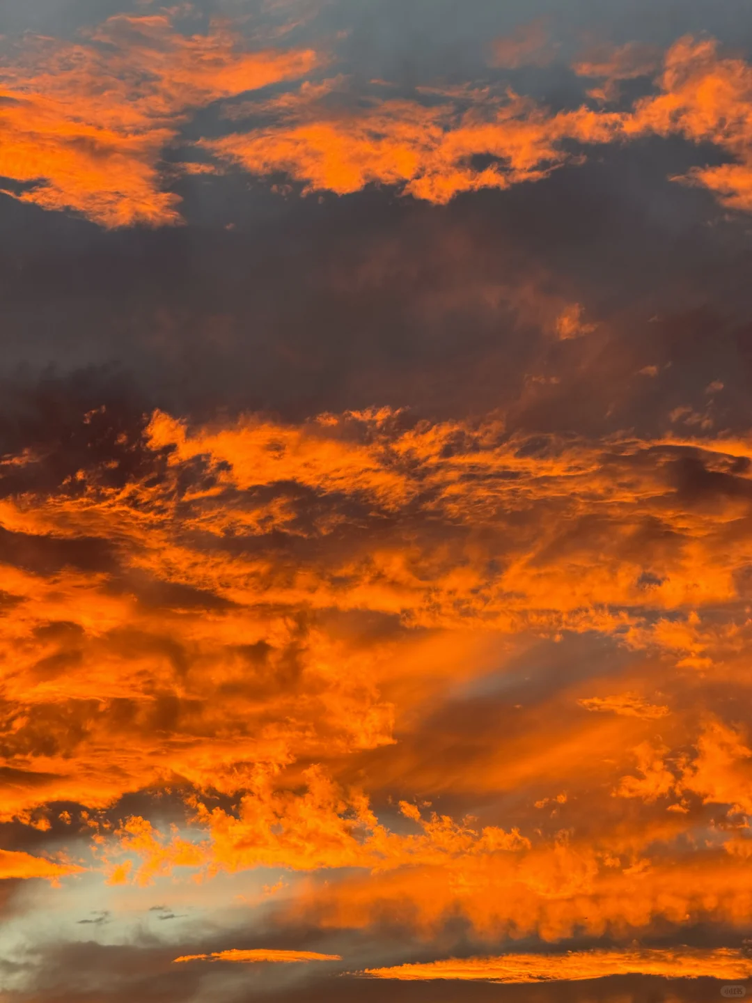 Swap Sunsets 🌇 Here's Tokyo's Sunset