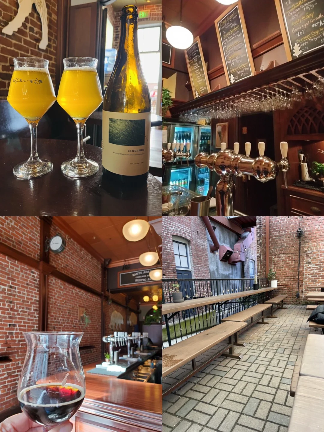 Bay Area Brews: Top Craft Beer Bars 🍻 Weekend Hangout Guide