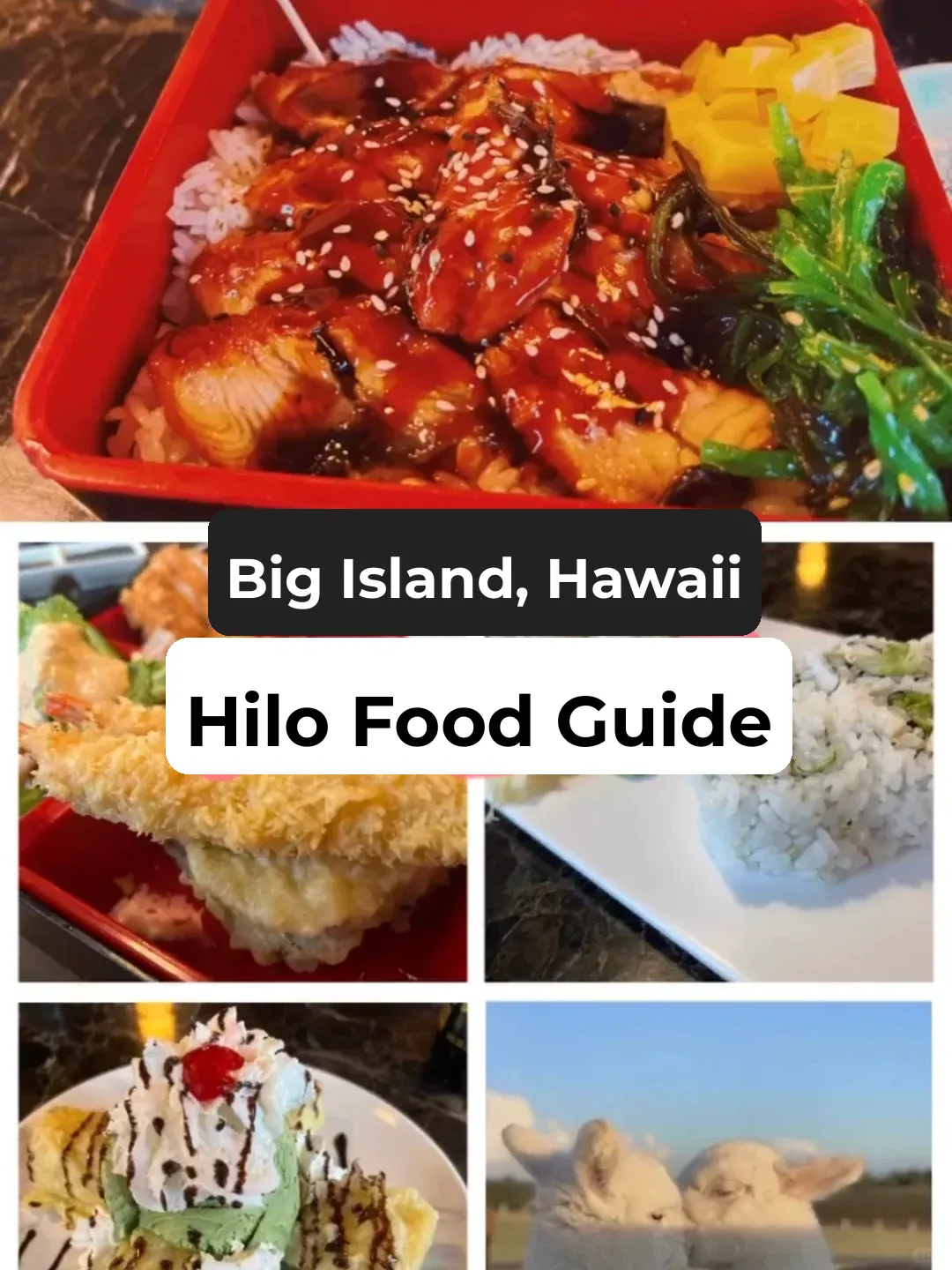 Hawaii's Big Island Hilo Foodie Picks ‼️⁉️