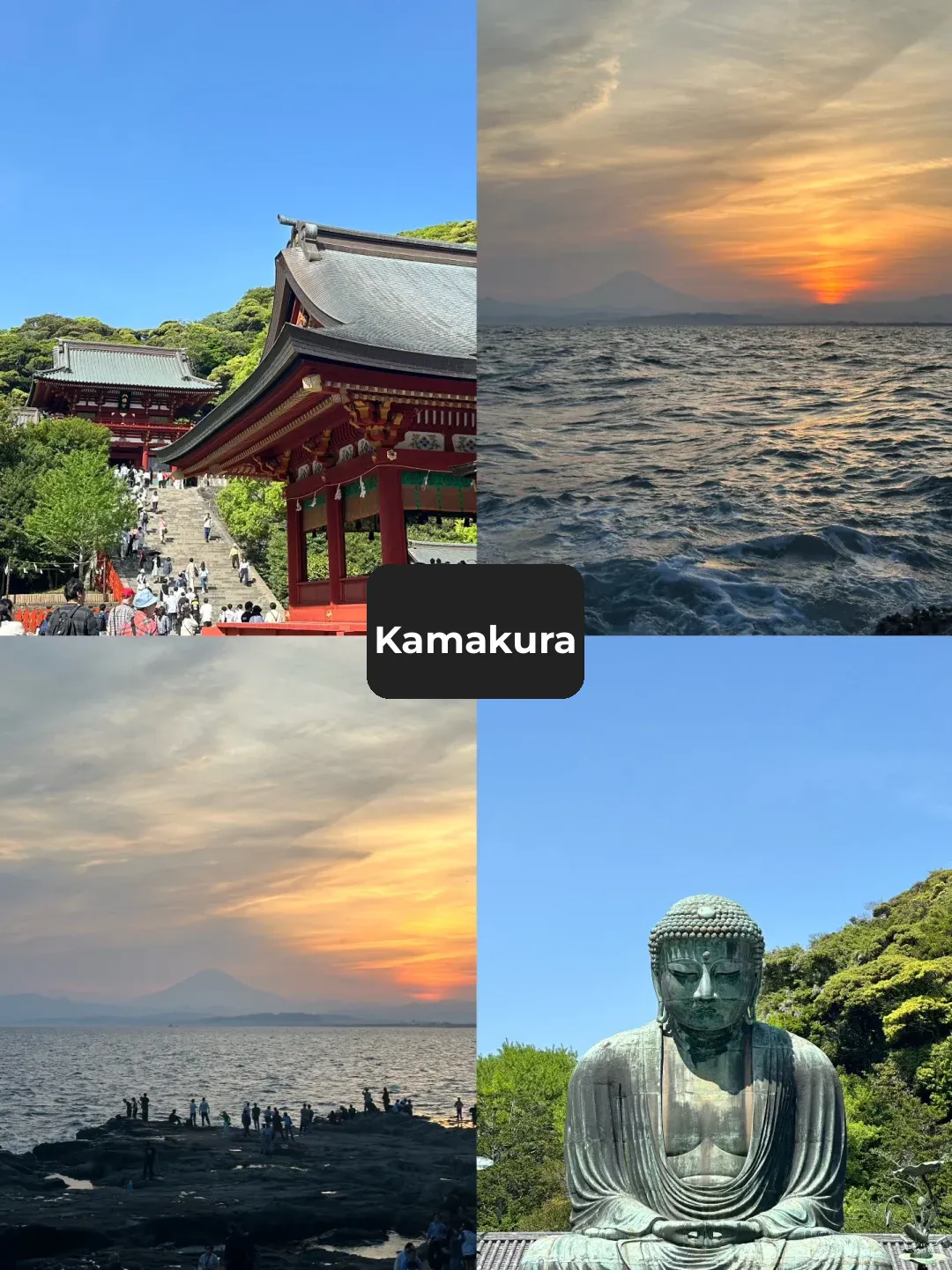 Japan | How to Plan the Perfect Travel Itinerary for Tokyo and Surrounding Cities?