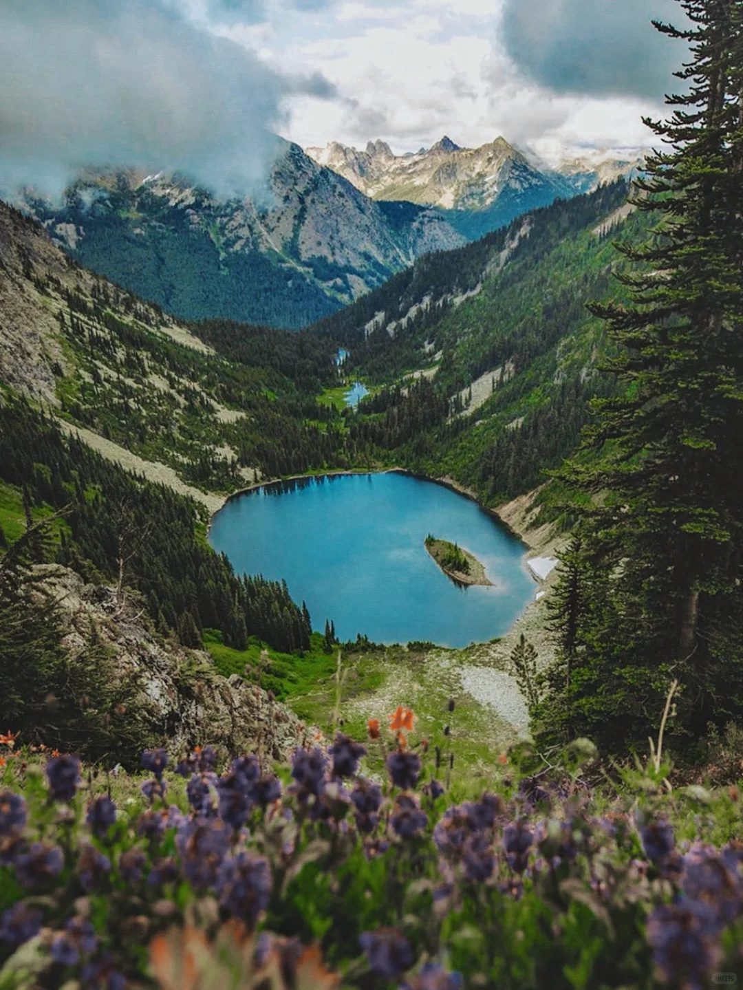 Seattle | Hiking in a Fairyland, Insta-Worthy Shots in Minutes