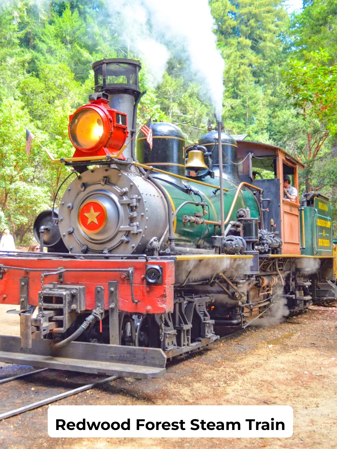 Santa Cruz 🚂 Redwood Steam Train Day Trip ‼️ The Afterglow is Too Strong