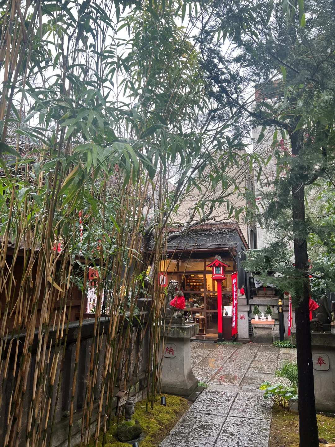 PLOG|🙏 Tokyo's Ultimate Energy Vortex