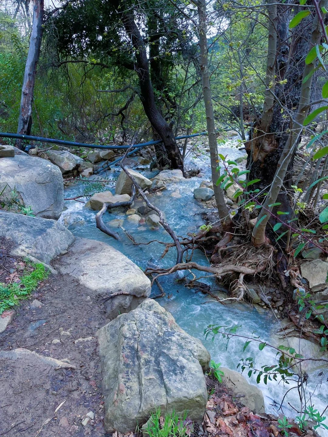 Santa Barbara Wild Hot Springs Hiking Adventure | Just 2 Hours from LA