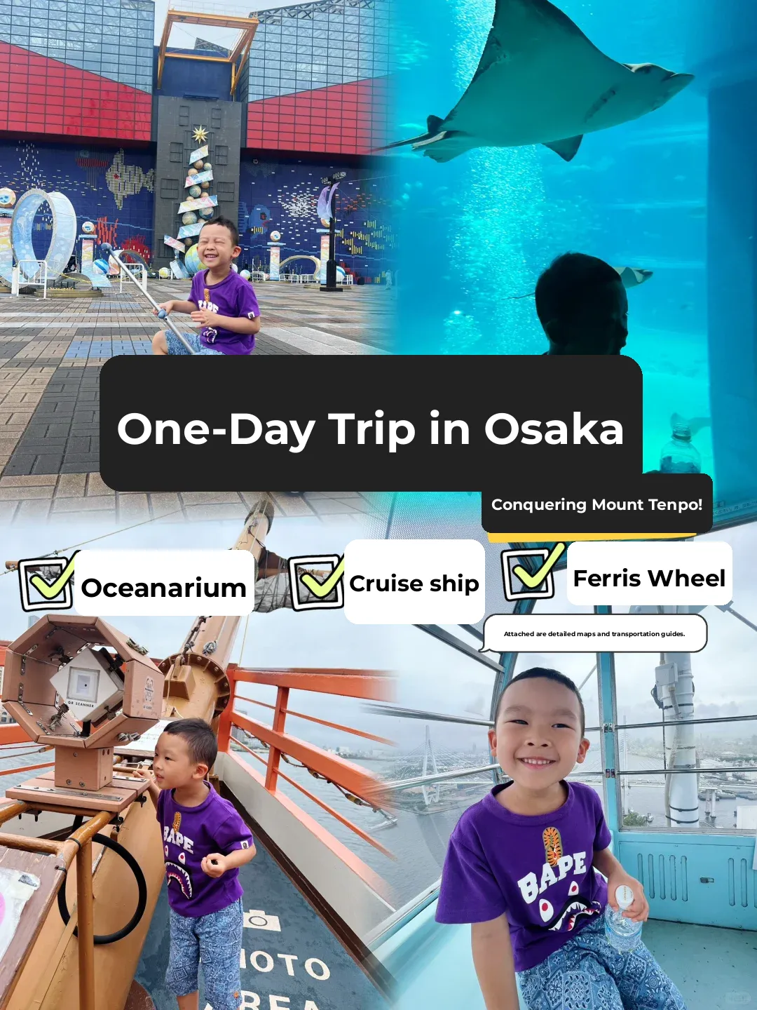 "Osaka Day Trip: Exploring Tempozan, Aquarium, Ferris Wheel & Cruise"