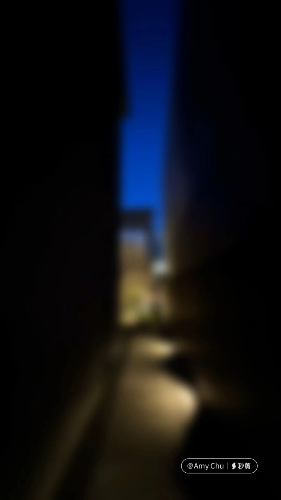 Kyoto's Michelin 1-Star Japanese-Spanish Fusion Cuisine