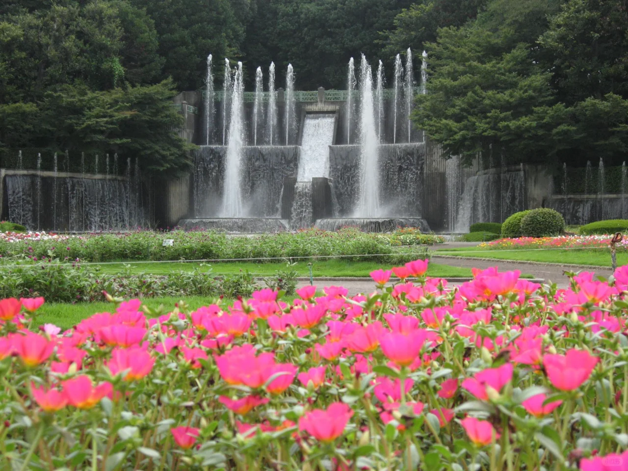 "Take the Kids to These Spots in Chuankou! A Full Day of Family Fun!"