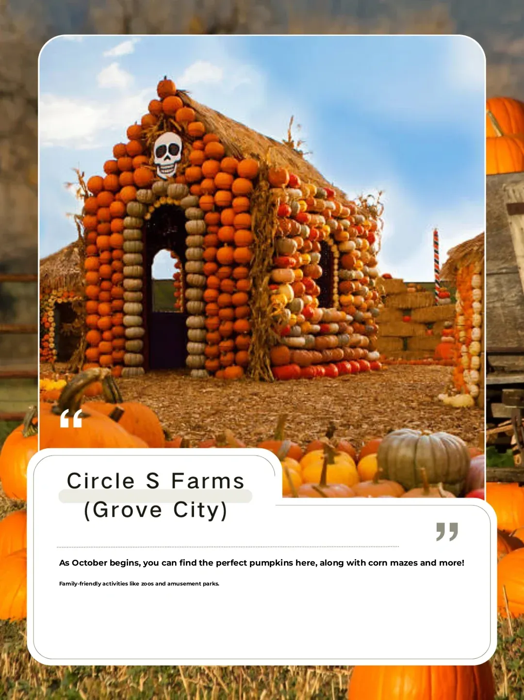 🍂 OSU｜Autumn Pumpkin Adventure🎃