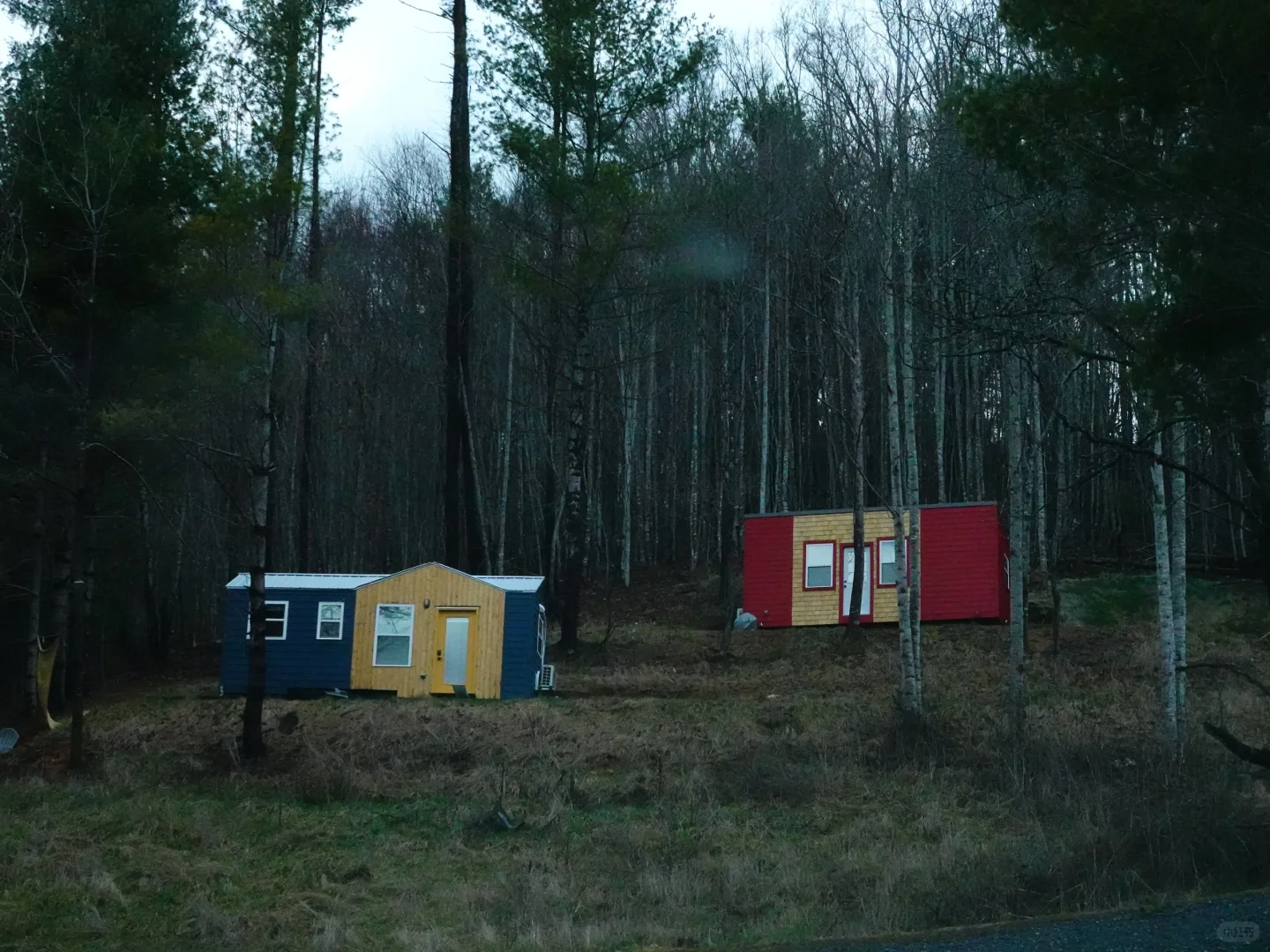 Misadventures in Pisgah National Forest | Hiking in North Carolina (Part 2)