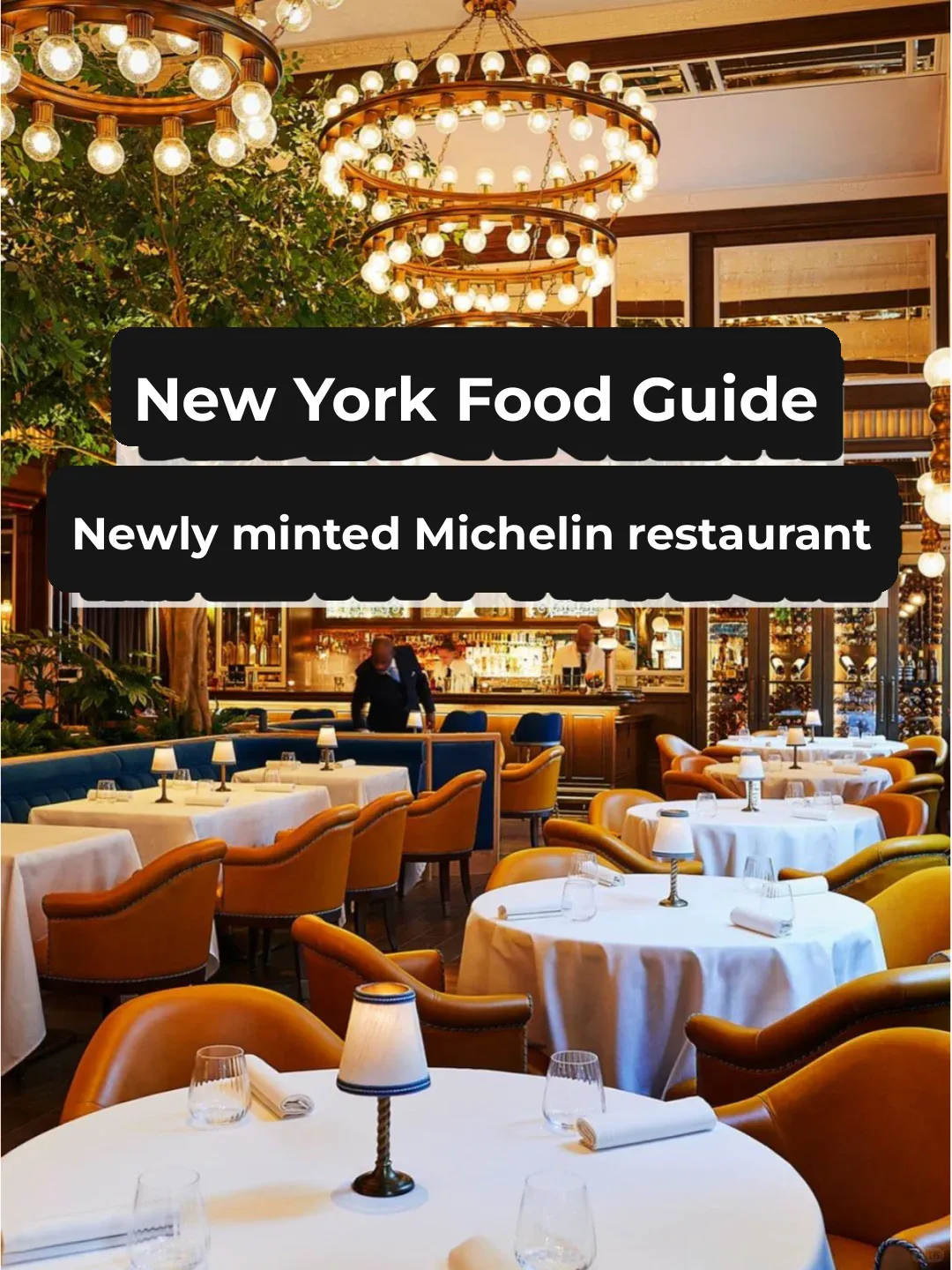 Michelin's Latest Additions! Don't Miss These Eight Restaurants in NYC!